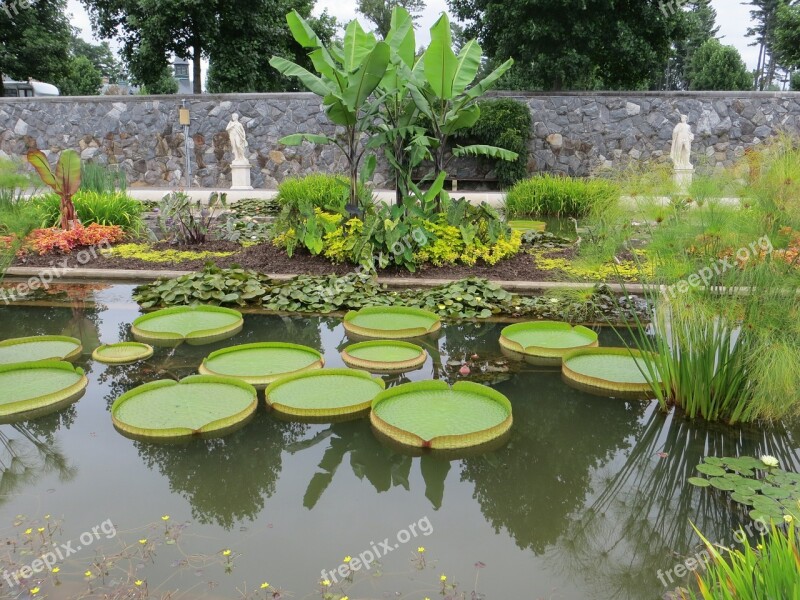 Botanical Garden Lily Pads Water Lily Pond Free Photos