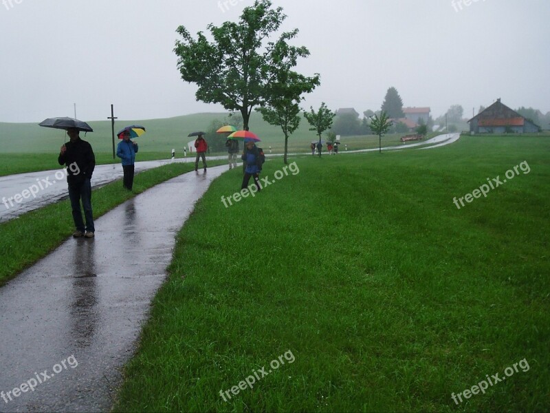 Wanderer Rain Umbrella Fog Sidewalk