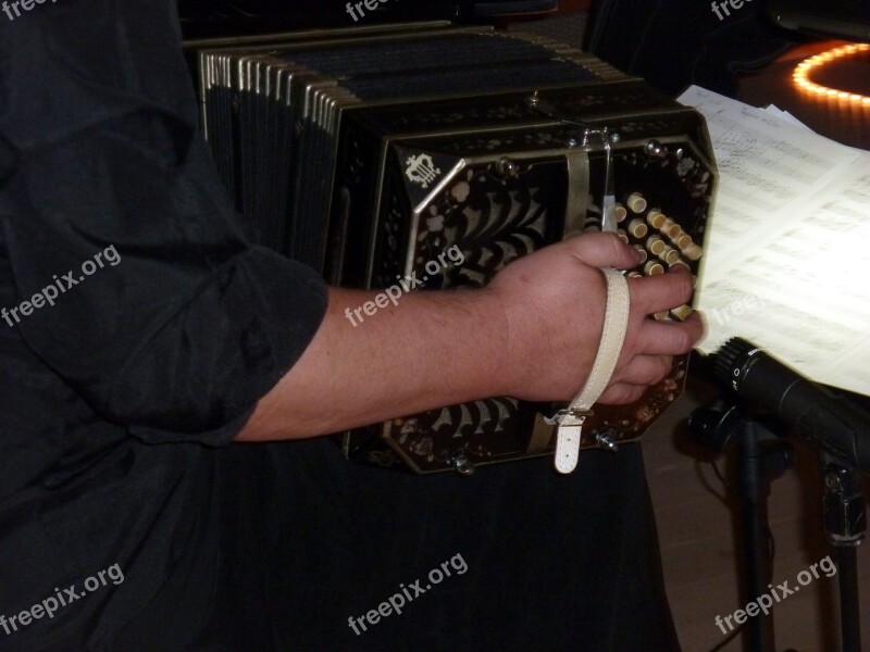 Music Musician Bandoneon Tango Argentino Instrument