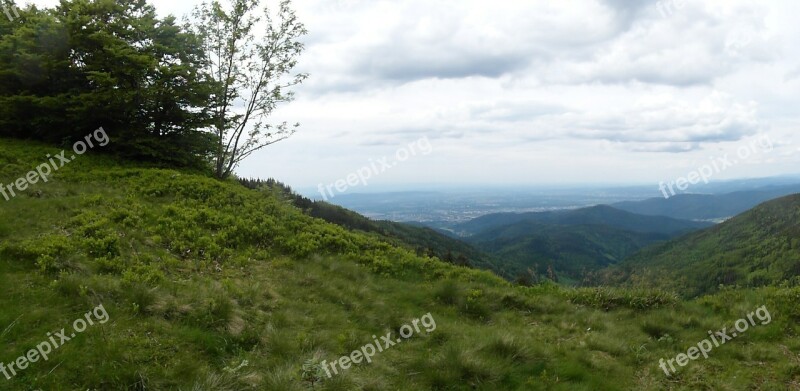 Black Forest Hill Rhine Valley Schauinsland Summer