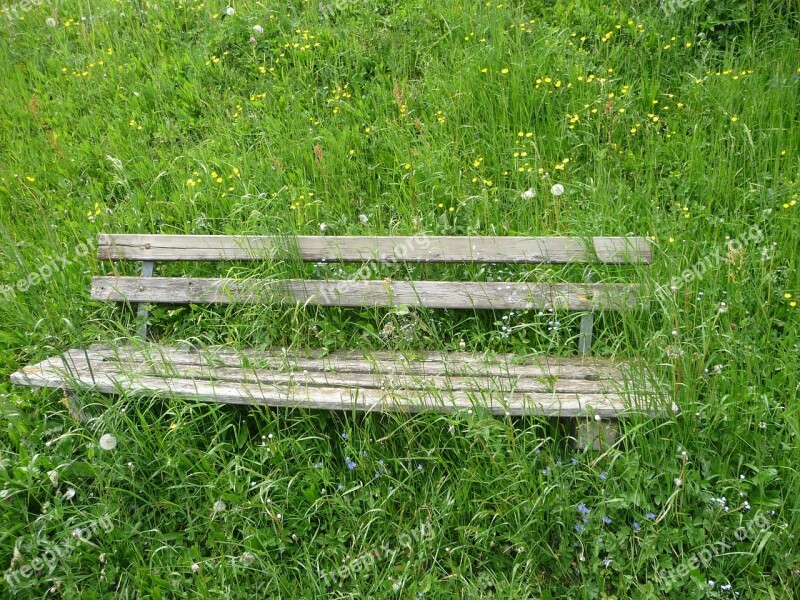 Bank Seat Flower Meadow Alpine Overgrown