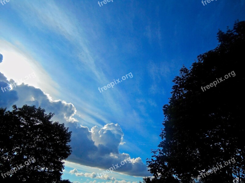 Blue Sky Tree Sunset Pine Tavern Stockholm