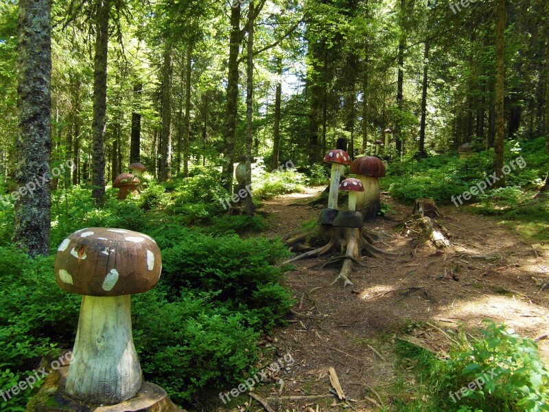 Mushroom Forest Mushrooms Wood Fairy Tale Forest Fly Agaric