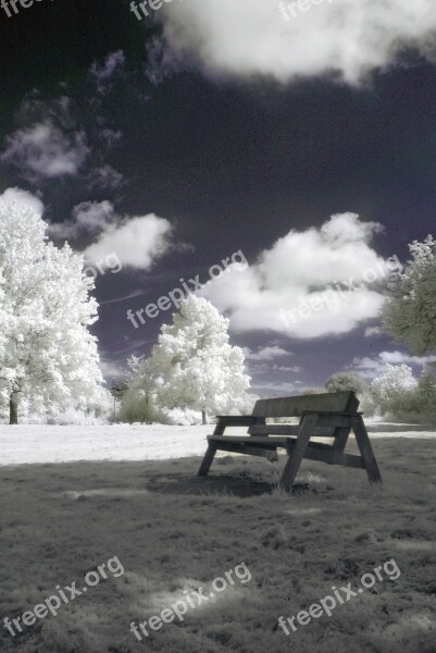 Infrared Nature Landscape Surreal Trees