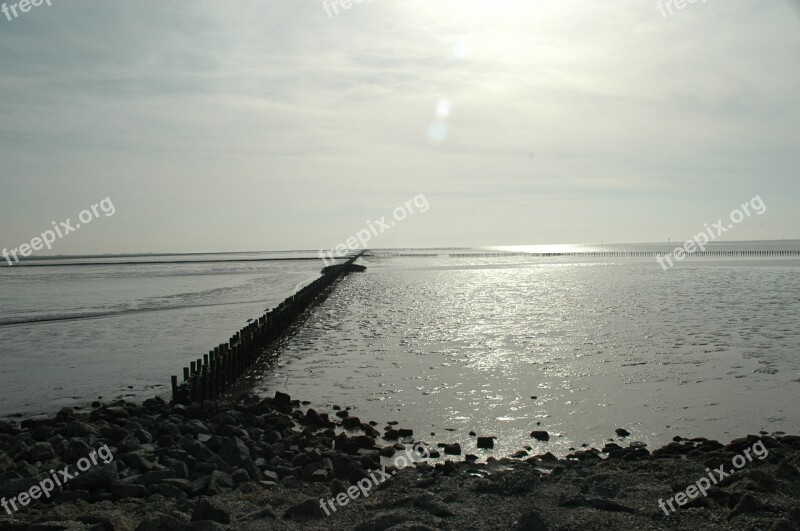 Sea Beach Water Blue Air