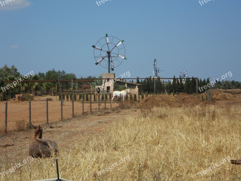 Pinwheel Metal Wheel Wind Wind Energy