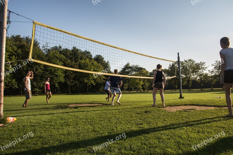 Sports Volleyball Sportive Sunny Field