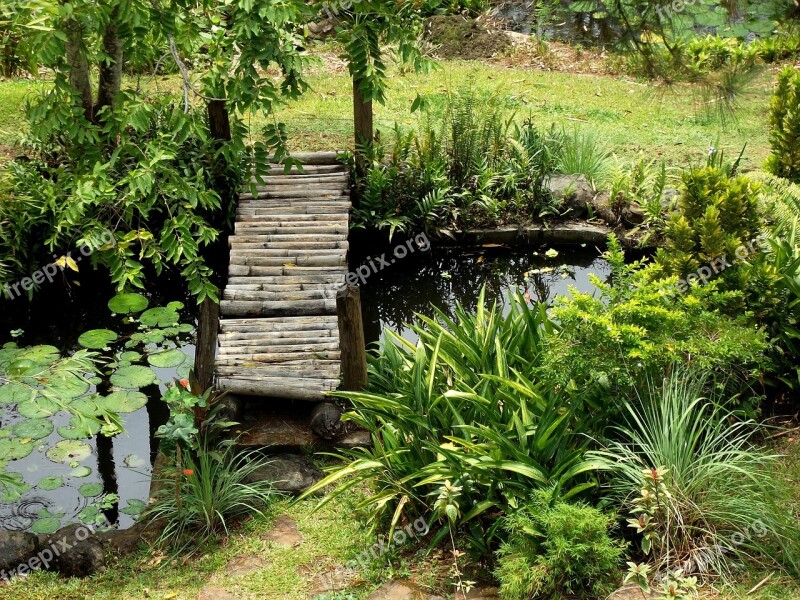 Garden Pond Water Nature Green