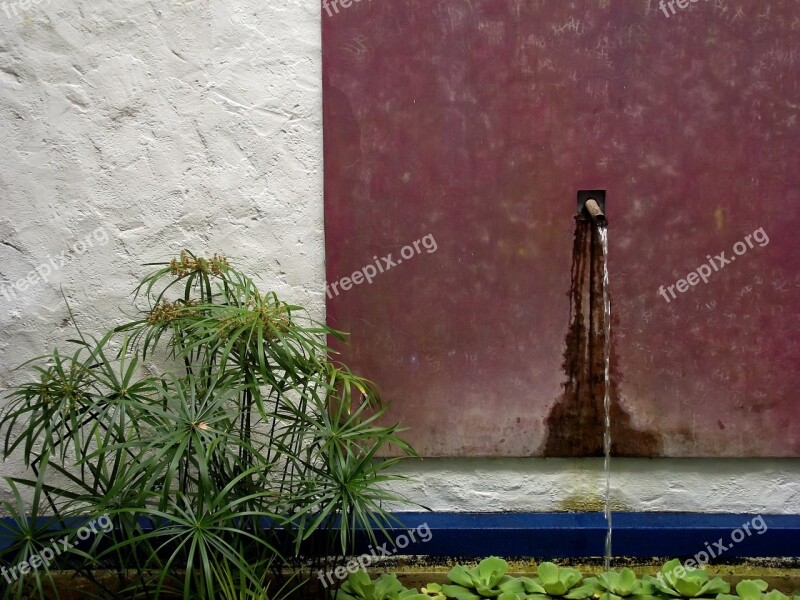 Pond Garden Water Tap Botanical Zen