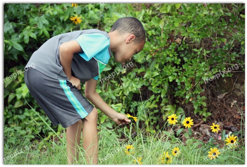 Young Boy Picking Daisy Happy