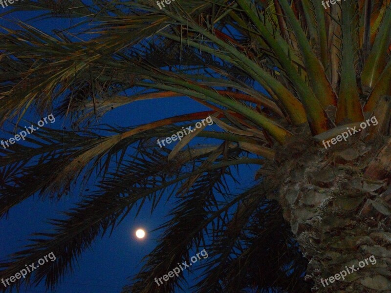 Evening Night Abendstimmung Moon Full Moon