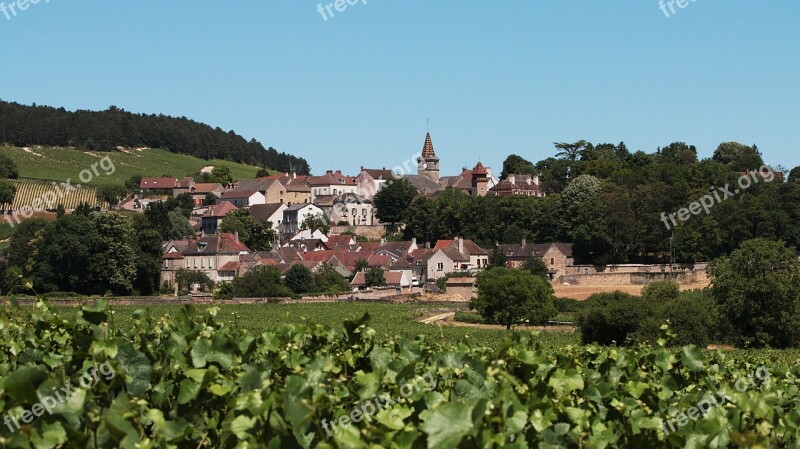 Village Burgundy Vines Vineyard France