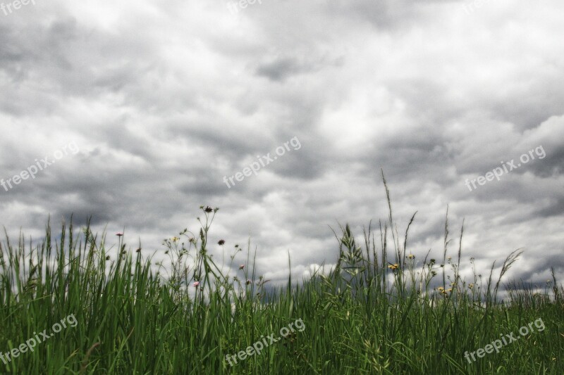 Clouds Sky Grass Grasses Dark Clouds