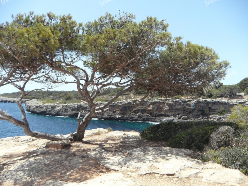 Mediterranean Sea Coast Rocky Coast Rocky