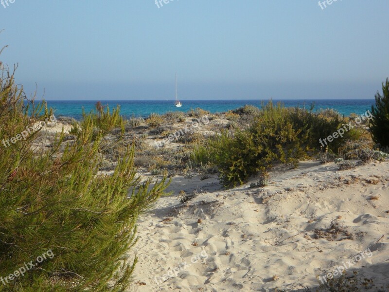 Mallorca It Trenc Dune Dune Landscape Horizon