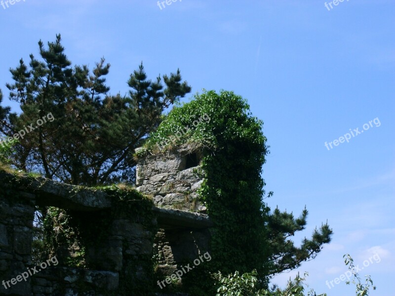 Castle Wall Overgrown Ruin Free Photos