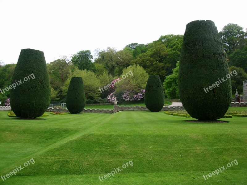 Park Maintained Rush Grass English Garden