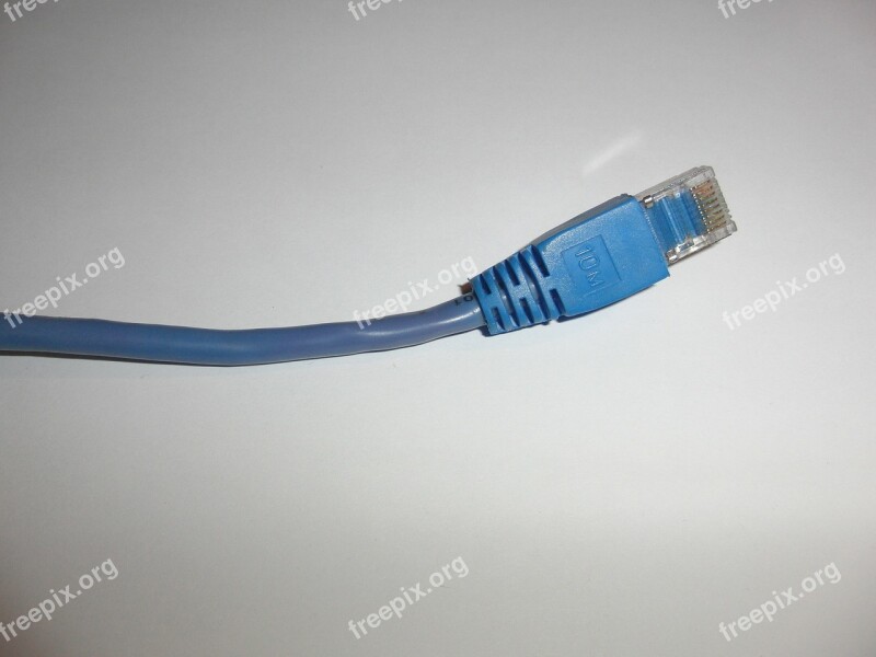 Web Cable Network Ethernet Plug