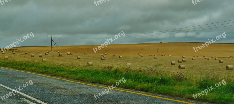 Road Landscape Hay Bales Field Nature