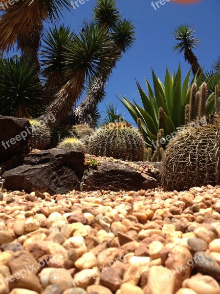 Dry Desert Yellow Environment Concept