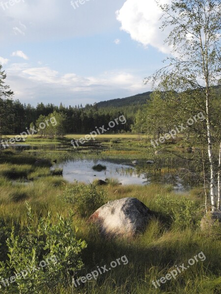 Island Sweden Lake Värmland Free Photos