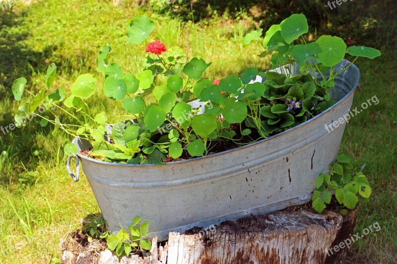 Tub Flowers Bucket Decoration Planters