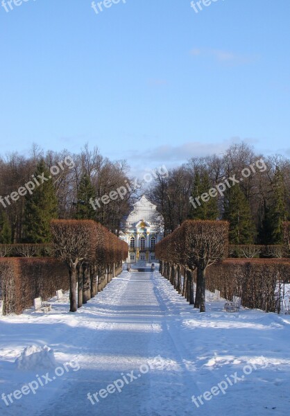 The Palace Ensemble Tsarskoe Selo Russia Alley Palace Trees