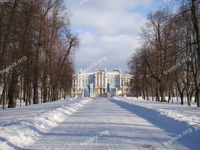 The Palace Ensemble Tsarskoe Selo Russia Alley Trees Palace