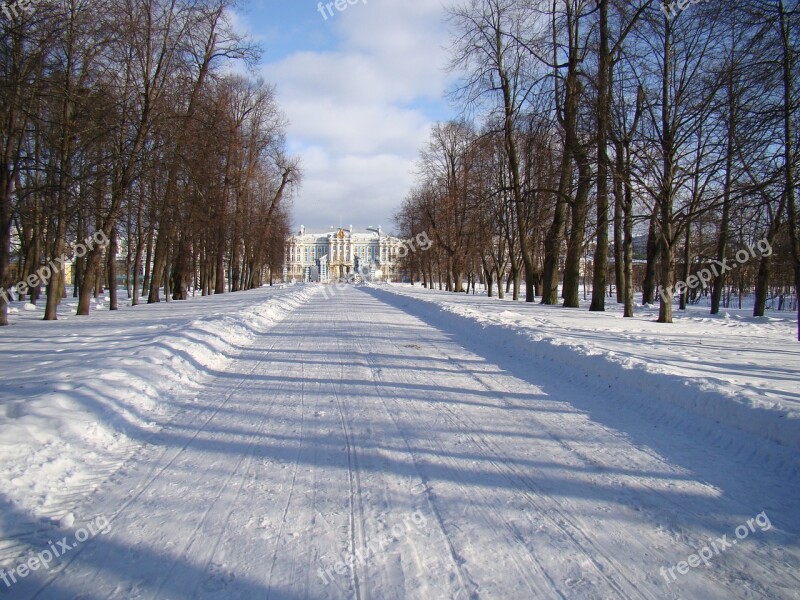 The Palace Ensemble Tsarskoe Selo Russia Alley Trees Palace