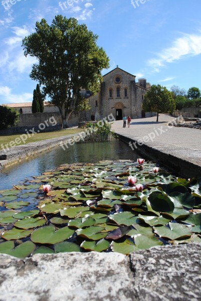 Monastery Abbey Silvacane France Romanesque