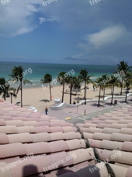 Beach Palm Trees Sand Palm Tropical