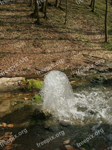 Source Spring Water Freshness Forest