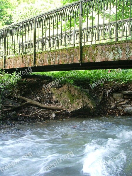 Stream Bridge Limit Forest Water