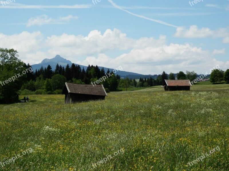 Meadow Allgäu Greened Panorama Mountains