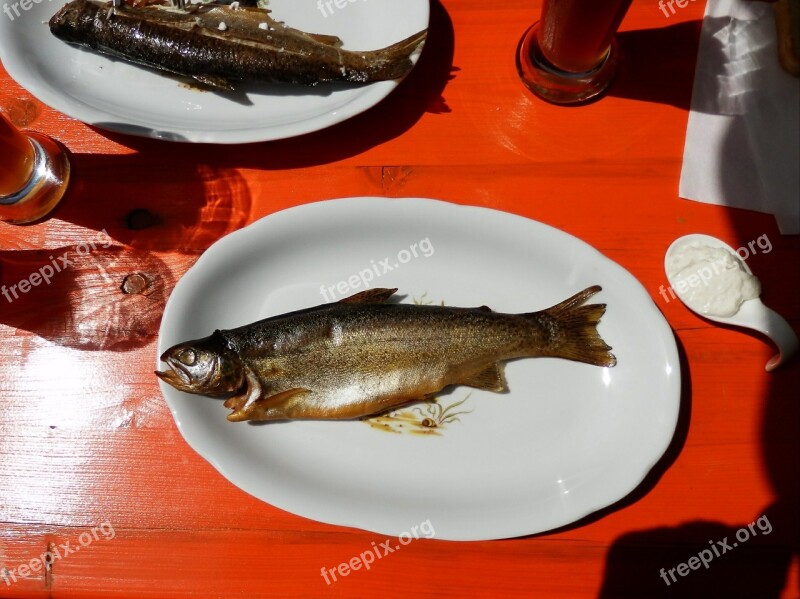 Trout Smoked Smoked Fish Sat Plate