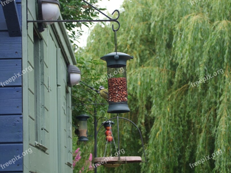 Feeder Feeding Birds Feeding Free Photos