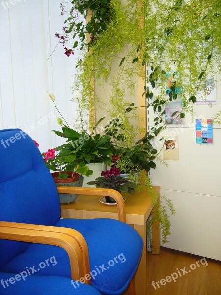 Waiting Area Blue Chair Indoor Plants Free Photos