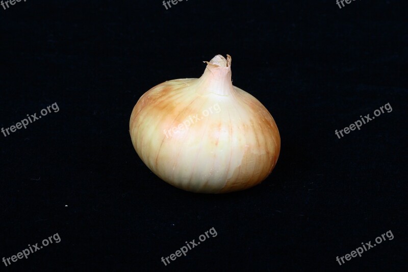 Onion Vegetable Food Free Photos