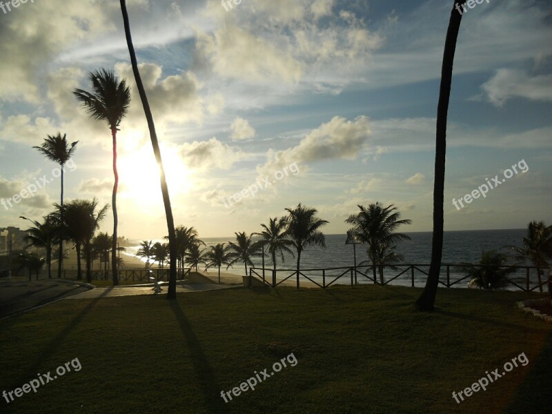 Bahia Amaralina Sol Mar Coconut Trees