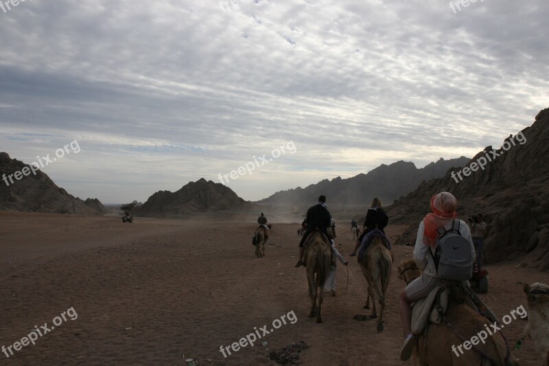 Riding Camel Egypt Adventure Desert