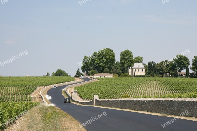 France Bordeaux Winery Vineyard Countryside