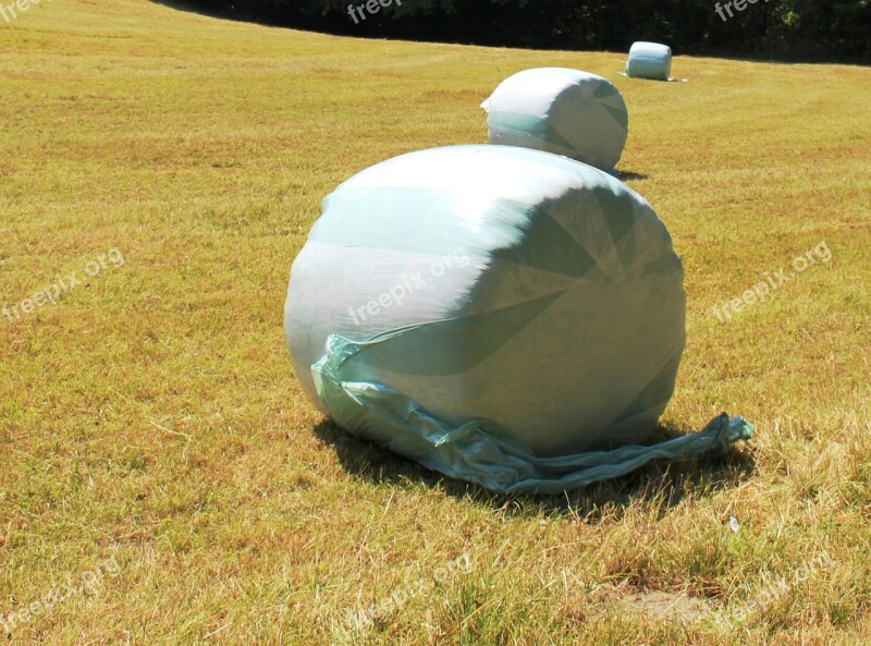 Hay Round Bales Wrapped Up Food Stock