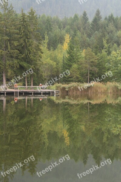 Mirroring Water Forest Lake Landscape