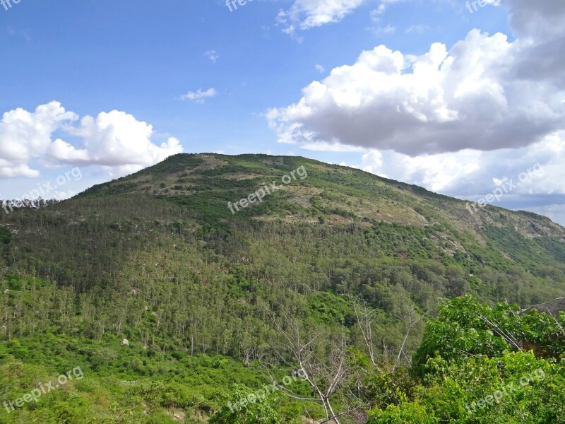 Nandi Hills Forest Deccan Plateau Karnataka India