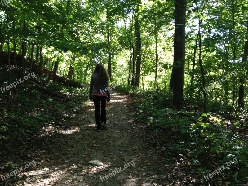 Hiking Woods Nature Forest Landscape