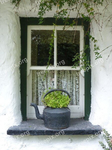 Window Irish Ireland Green Flower