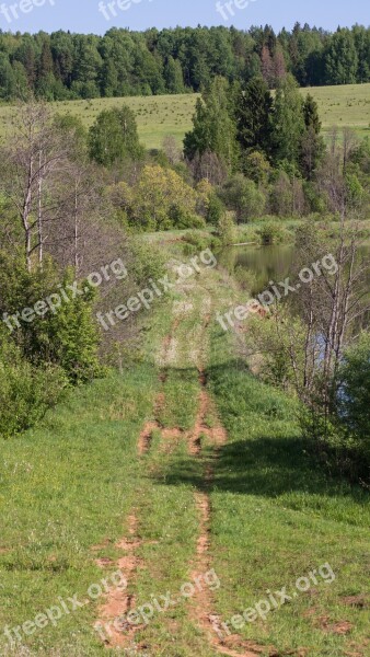 Road Trail Grass Greens Trees