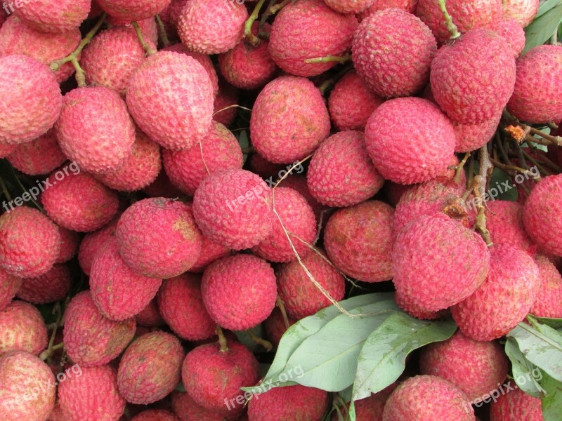 Litchi Fruits Red Free Photos