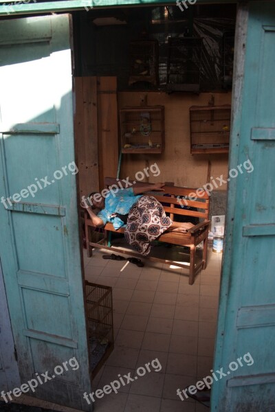 Indonesia Woman Sleep Siesta Observed