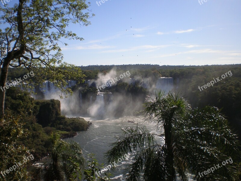 Waterfall Cascade Falls Iguazu Free Photos